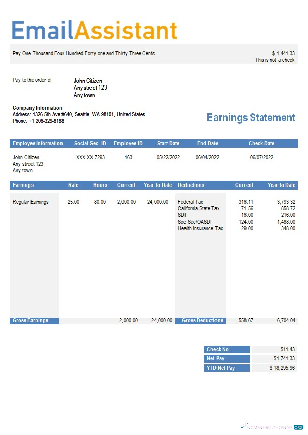 Download email services company earning statement in Word and PDf formats Photoshop template